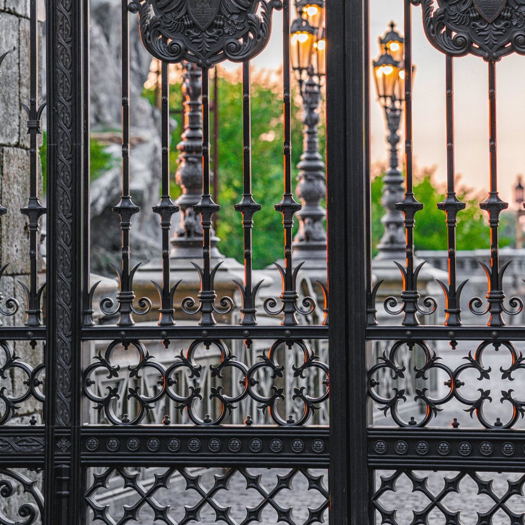 facade-gate-is-made-black-wrought-iron-metal-fence-made-forged-steel-sunset-1080x1080
