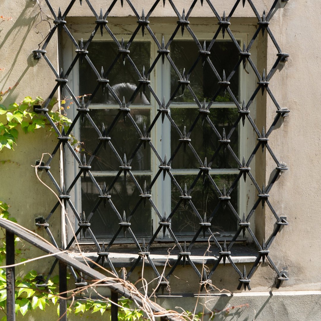 vintage-metal-window-bars-old-house-facade-security-safety-1080x1080
